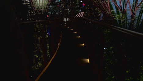 vista nocturna de un puente en un jardín en singapur