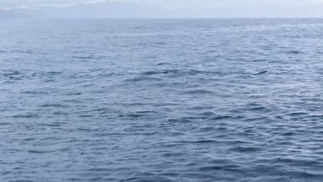 Fluke-Of-Dolphins-Swimming-In-The-Ocean-On-A-Rainy-Day-Seen-From-The-Boat