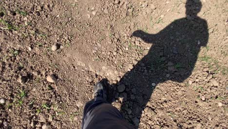 la sombra de un hombre mientras camina a través de un campo agrícola completamente seco durante el verano en el reino unido