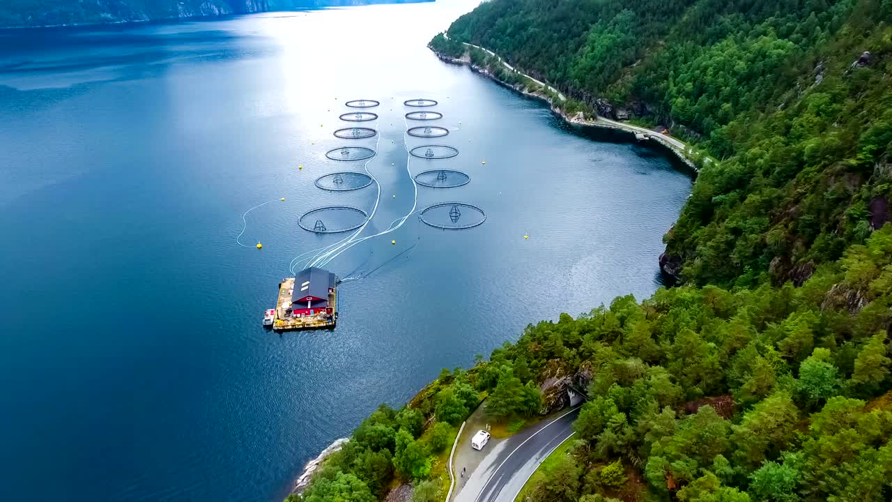 노르웨이에서 연어  ⁇ 시를 하는 공중 촬영