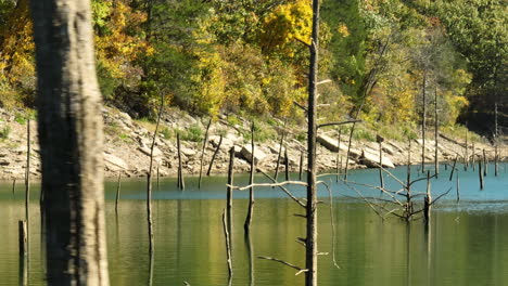 wooden poles standing over lake in eagle hollow cave, arkansas, usa