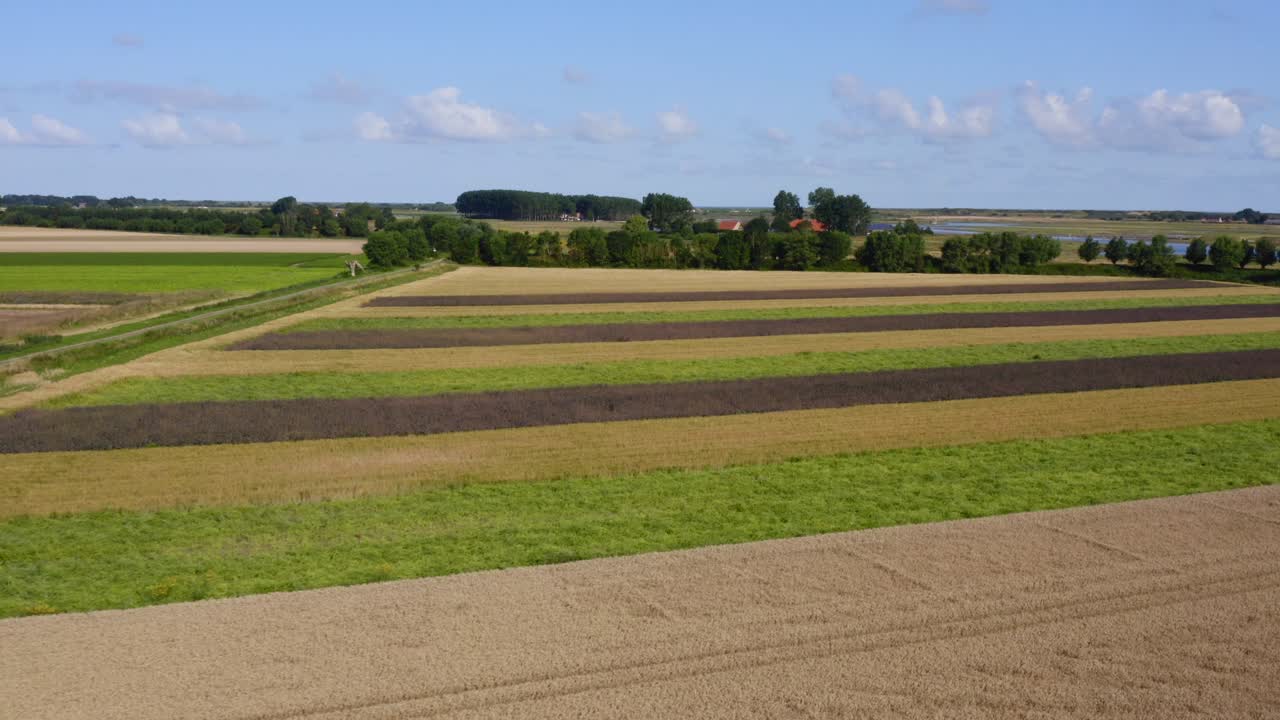 Absteigende Luftaufnahme von sommerlichen Feldern nahe den Waterdunes – einem Naturgebiet und Freizeitpark in der Provinz Zeeland, Niederlande.