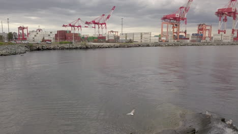 grúas en un puerto marítimo