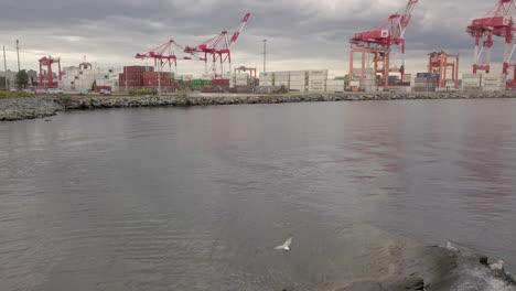 cranes at a seaside shipping port