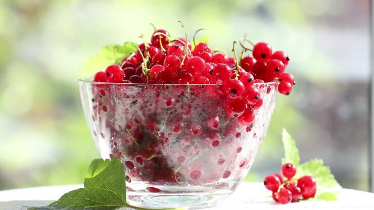 Ripe red currant with water drops and green leaves in glass dish