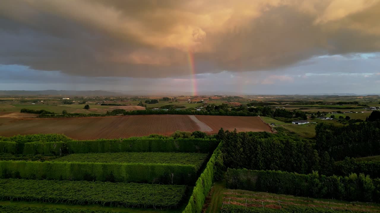 arco iris sobre los campos y los huertos de kiwi