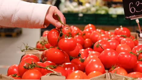the girl buys tomatoes in the supermarket, natural products, food for vegans