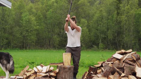 man chops firewood - wide