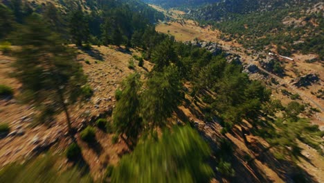 fpv drone flying right on top of pine trees on a rocky mountain with blue skies