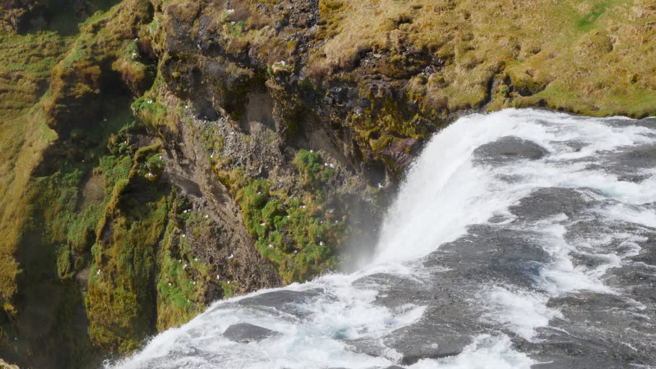 exuberante cascada islandesa en cascada en una piscina serena, rodeada de vibrante musgo verde y terreno accidentado, toma aérea