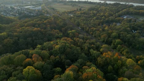 a lush forest with autumn colors and distant town on a calm evening, aerial view