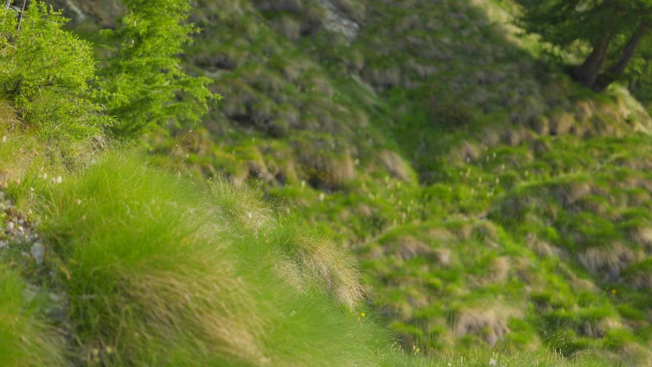 라리아 계곡, 발마렌코, 이탈리아에서 배 트레킹