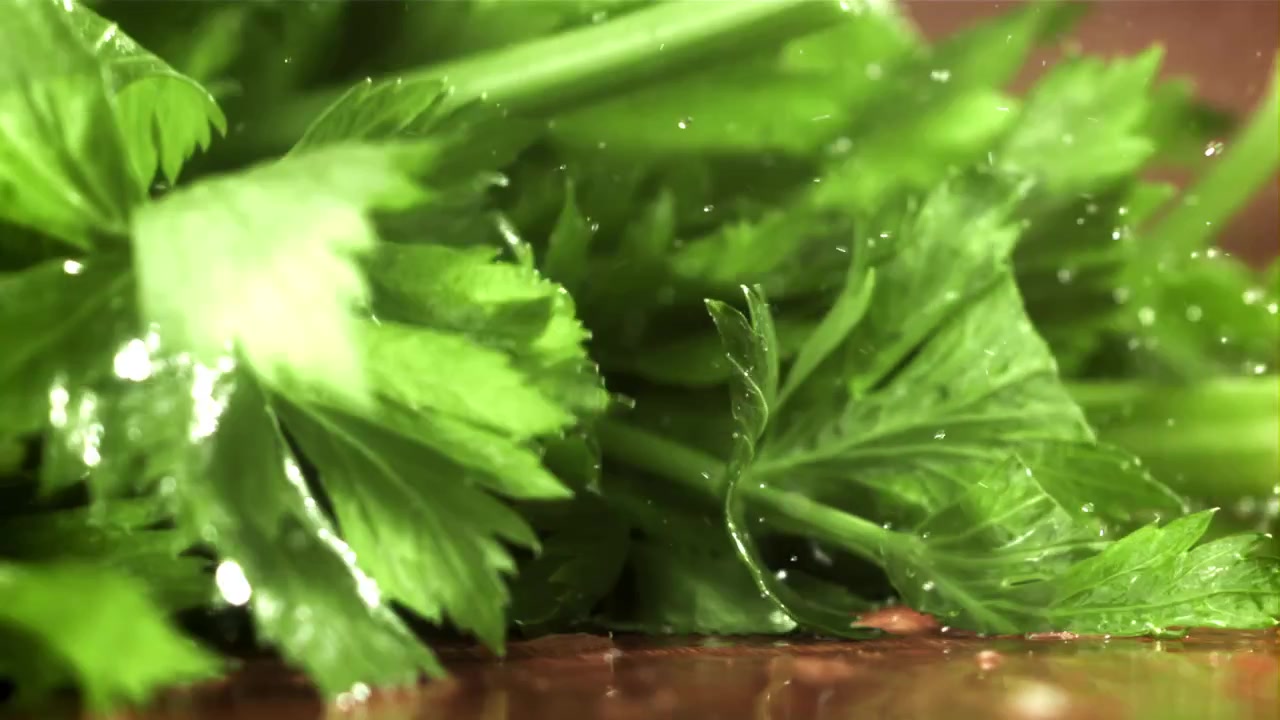 Fresh Celery Leaves Falling and Splashing with Water in Slow Motion