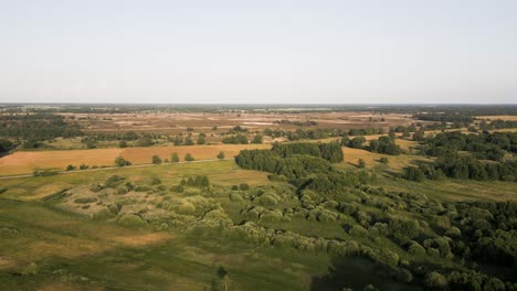 vista aérea de un paisaje de brezo