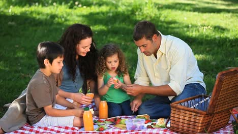 Familie-Schlemmt-Bei-Einem-Picknick-Auf-Einer-Tischdecke