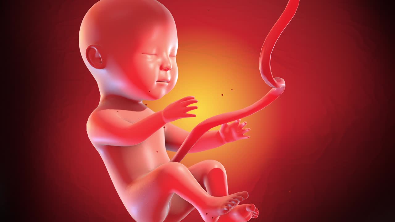 Feto umano che dorme pacificamente, poi scalcia e si muove