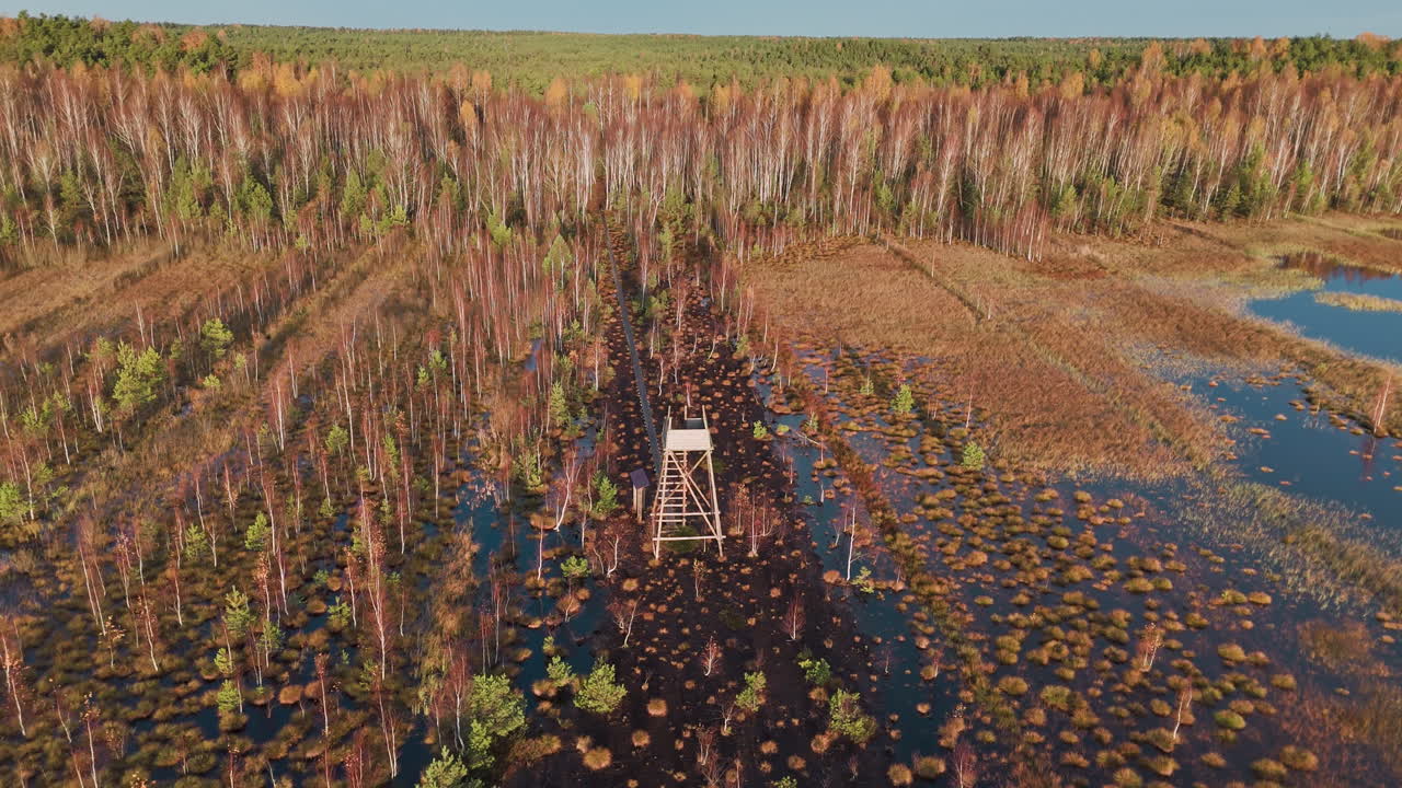 드론의 원형 촬영은 가을 아침 시간 동안 나무로 인 호수에서 목조 워치 타워를 포착합니다.