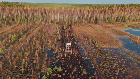 Disparo-Circular-De-Un-Dron-Captura-Una-Torre-De-Vigilancia-De-Madera-En-Un-Lago-Cubierto-De-Maleza-Durante-Las-Horas-De-La-Mañana-De-Otoño