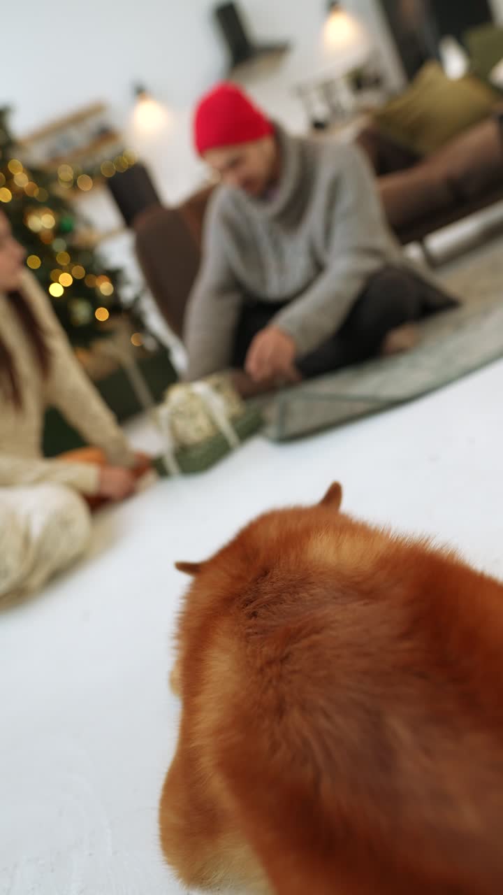 커플이 개와 함께 크리스마스 선물을 열고