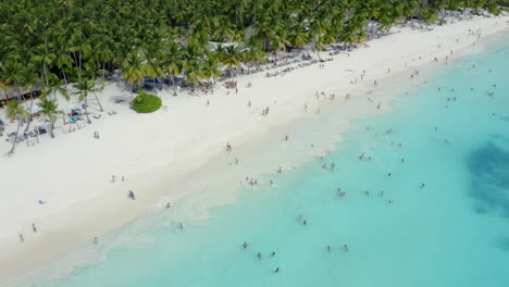 Tourists-hanging-out-at-the-most-beautiful-beach,-Saona,-Dominican-Republic,-aerial-pan-up-reveal