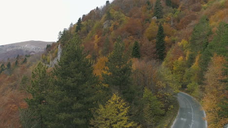 Steigen-Sie-Langsam-über-Eine-Straße-Mitten-Im-Wald-Mit-Herbstlichen-Farben-Ab