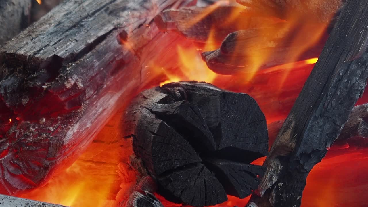 연료 나무를 태우는 것