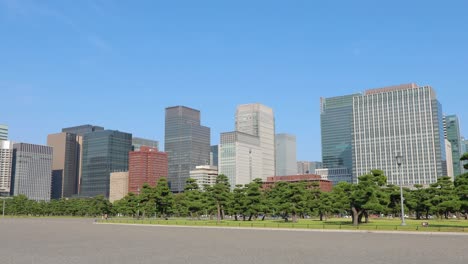 도쿄 최고의 전망