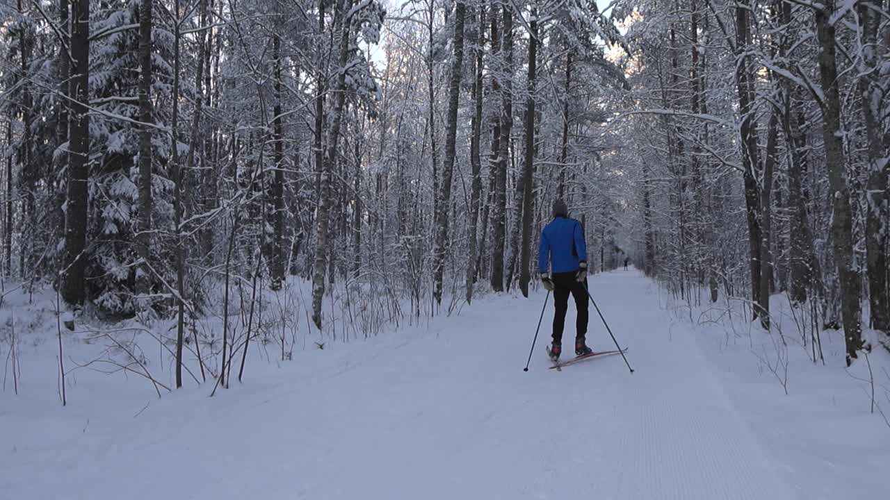 Two skiers skiing in a winter forest in slow motion. The trees, branches ground and foliage is covered in thick white dense snow during cloudy day. Skiers have excellent sports gear, smooth motion.