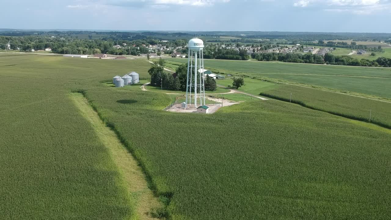 DJI Spark flying over a corn field in Iowa.