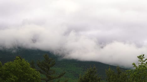 timelapse of clouds forming moving over lush green forest with vegetation