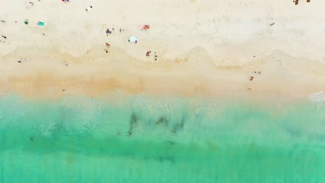 Aerial-view-of-beautiful-tropical-beach-and-sea-with-trees-on-island-for-travel-and-vacation