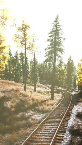 autumn train tracks winding through a forest