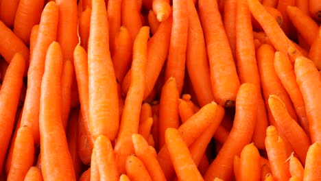 fresh clean carrots on shelf in farmer market high quality 4k footage