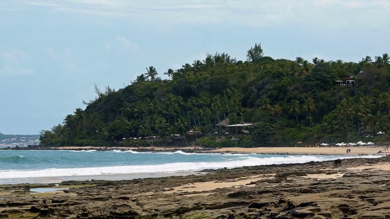 cámara lenta de las olas chocando contra las rocas en la hermosa playa tropical de tibau do sul en rio grande do norte, brasil cubierta de arena dorada, palmeras y acantilados de plantas exóticas un día de verano