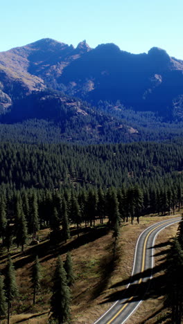 winding mountain road through a lush forest