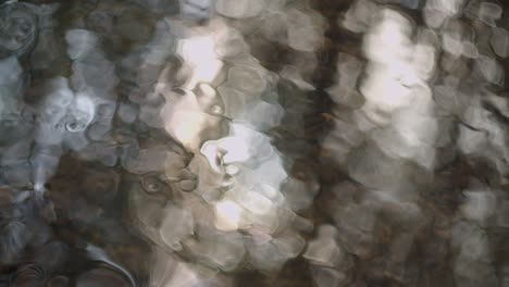 a closeup shot of shiny water of the lake with sun reflection in devon, uk