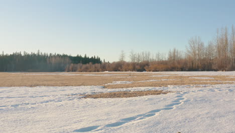 透過雪地農地的樹木進行空中逆轉, 揭示出完美的木屋