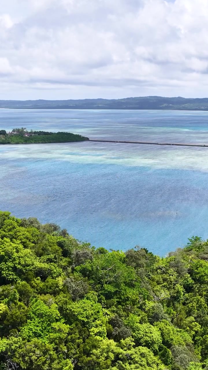 Il filmato del drone cattura una fitta giungla verde che si affaccia su vivaci acque oceaniche turchesi e lontane barriere coralline.