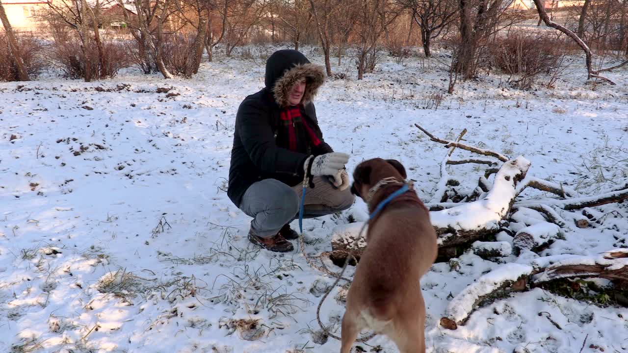 눈 인 에 개와 함께 사람