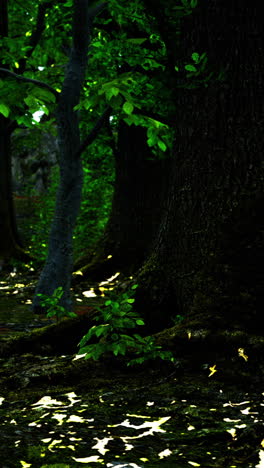 la luz del sol fluye a través del bosque exuberante