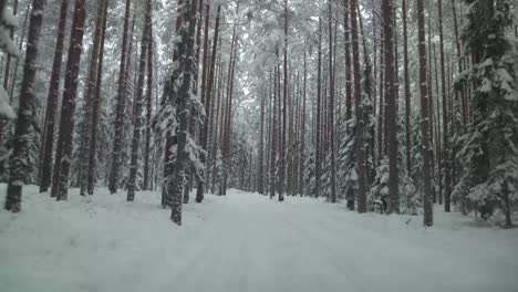 path leading into majestic mountain valley covered with snow on a winter day