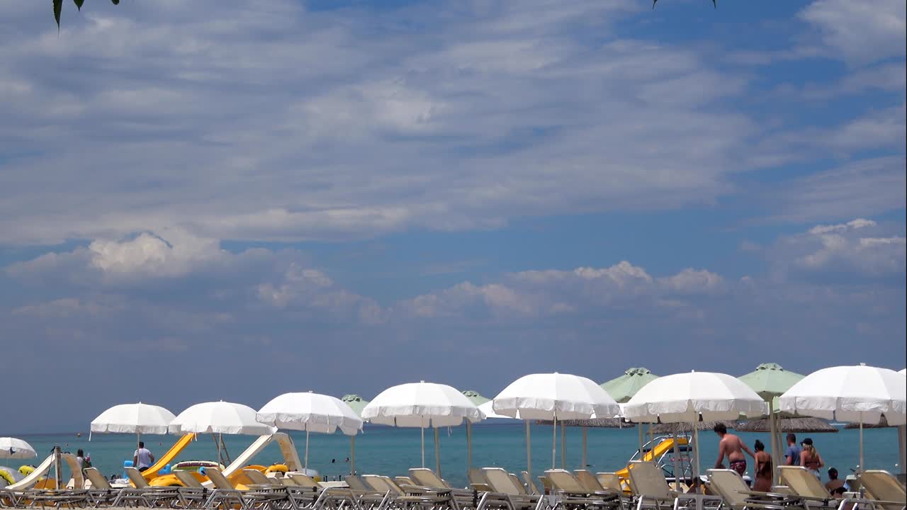 바가 해변 나무 에서 휴식을 취하세요.