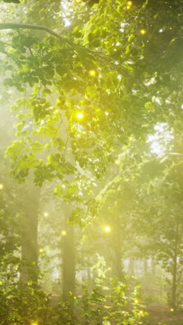 enchanted forest with fireflies and sunbeams