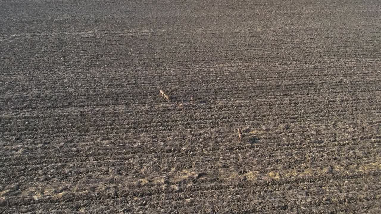 사 ⁇ 이  ⁇ 고, 드론이  ⁇ 고