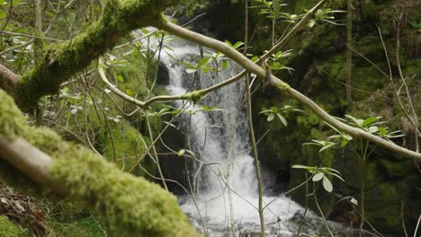 Filmische-Nahaufnahme-Der-Wunderschönen,-Faszinierenden-Geroldsau-Wasserfälle