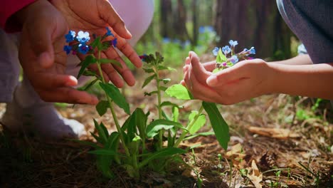 children examining flowers in a forest