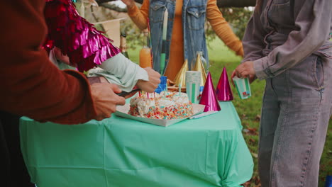 friends celebrating a birthday outdoors