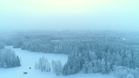 aerial sideways on snowy landscape and coniferous forest