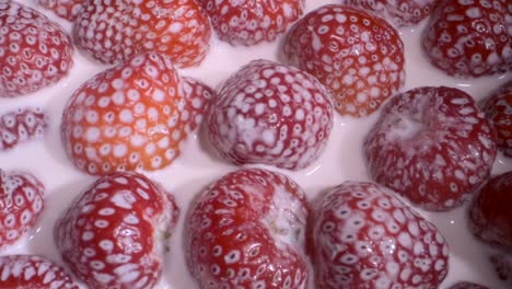 rotate of ripe strawberries covered with layer of cream. camera rotation 360 degrees, close-up.