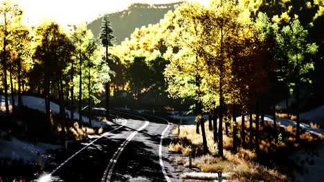 Carretera-Asfaltada-Con-Curvas-A-Través-Del-Bosque-En-Otoño